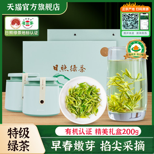 日照绿茶2026新茶春茶特级礼盒装山东特产送礼云雾浓香官方旗舰店