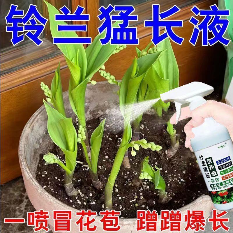 有机水溶肥料铃兰专用营养液爆芽促开花生根壮苗茎杆弱小叶子发黄