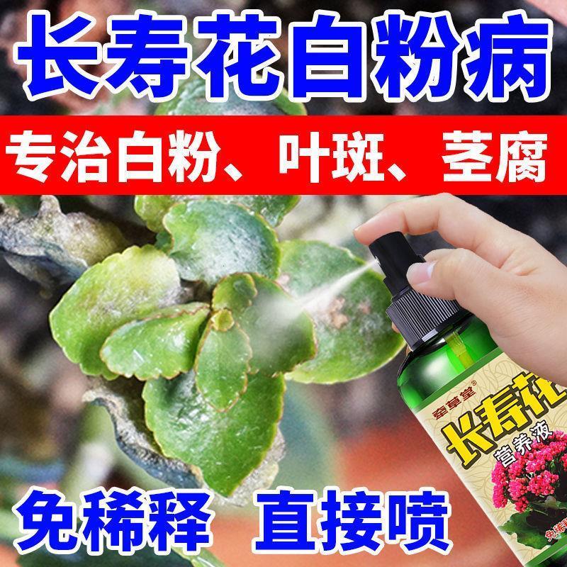 花卉通用肥料长寿花白粉病专用药肥料营养液除菌抑菌预防病虫害补
