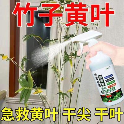 竹子专用营养液免稀释红竹米竹观音竹凤尾竹急救黄叶干枯四季常绿