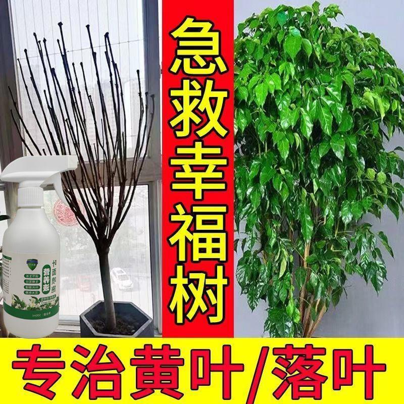 微量元素水溶肥料营养液养花专用通用幸福树营养液掉叶落叶黄叶枝
