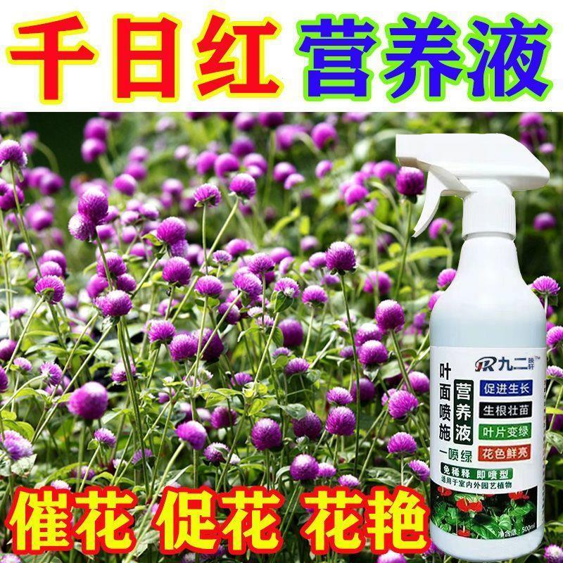 肥料花卉绿植用千日红专用营养液500ml促花催花防黄叶壮杆爆盆直