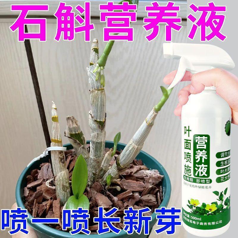 养花肥料营养液养花专用通用石斛兰专用营养液铁皮石斛专用肥生根