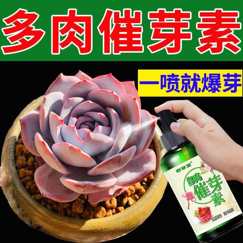 肥料花卉绿植用多肉营养液专用肥爆芽素优芽素肉肉增色生根发芽盆