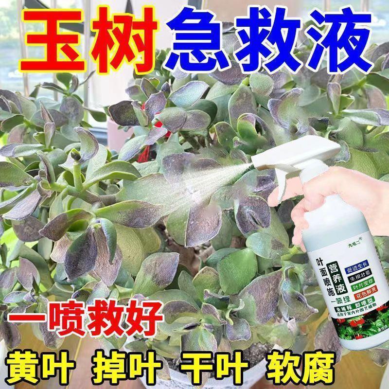 【急救】玉树专用肥营养