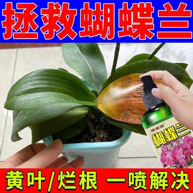 花肥通用养花肥料蝴蝶兰专用营养液兰花肥料优芽素快速生叶面喷施