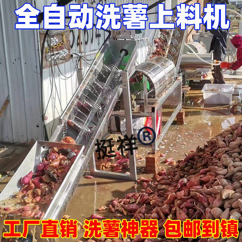 洗番薯机器洗马铃薯芋头萝卜红薯土豆泥巴的机器全自动清洗上料机