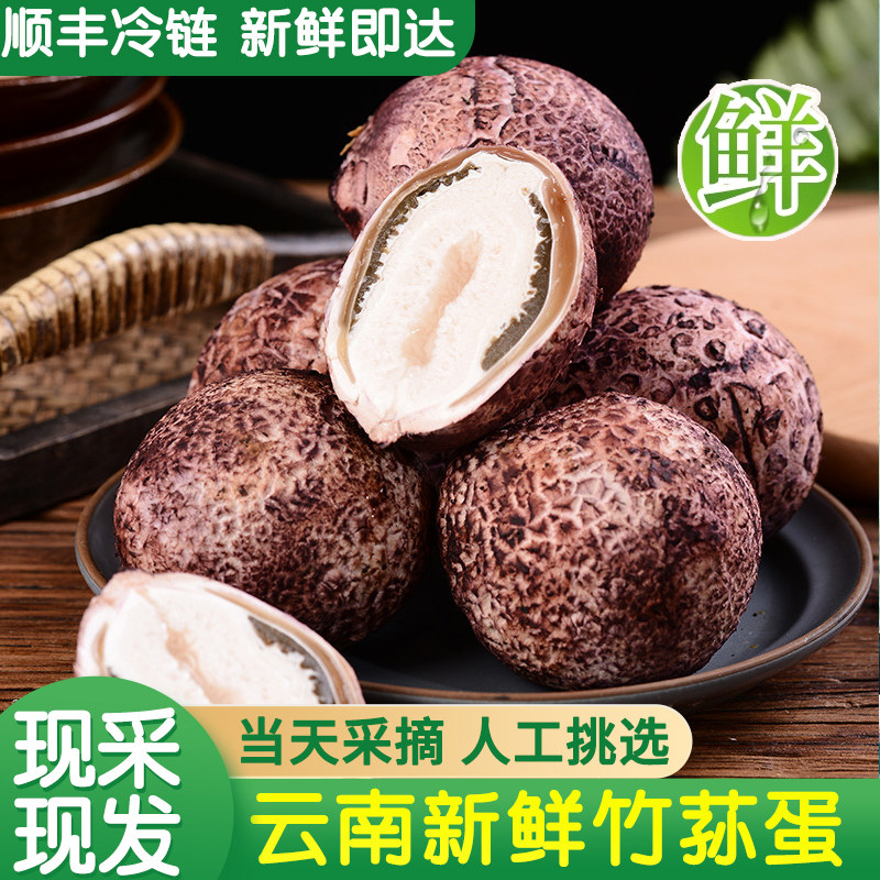 云南新鲜竹荪蛋官方旗舰店图片
