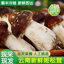 云南新鲜姬松茸特产蘑菇巴西菇顺丰冷链空运非野生2斤装1kg旗舰店