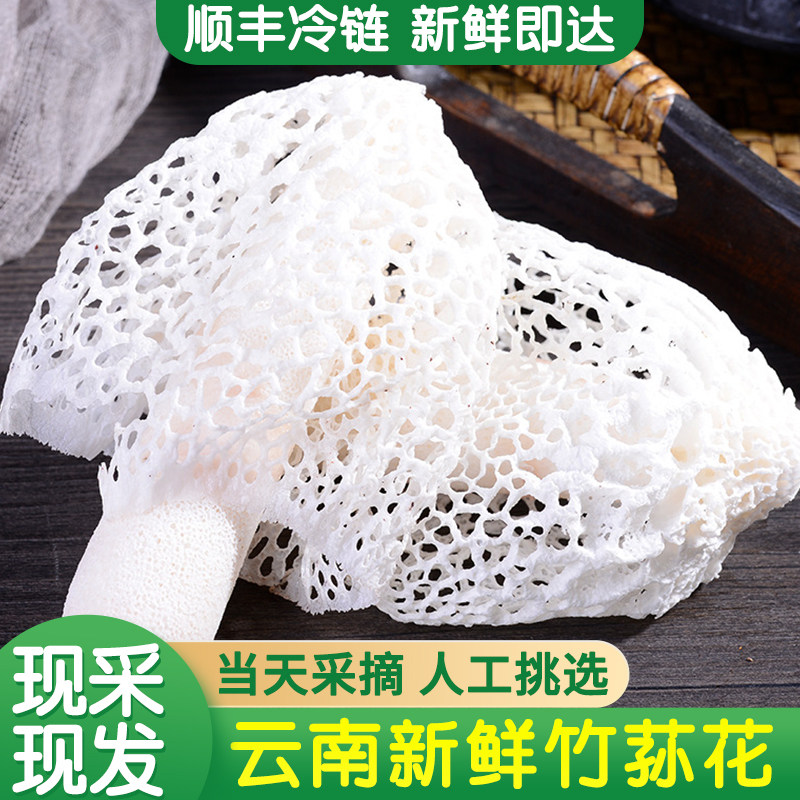 云南特产新鲜现摘竹荪花精品非干货源产地直发火锅食材官方旗舰店