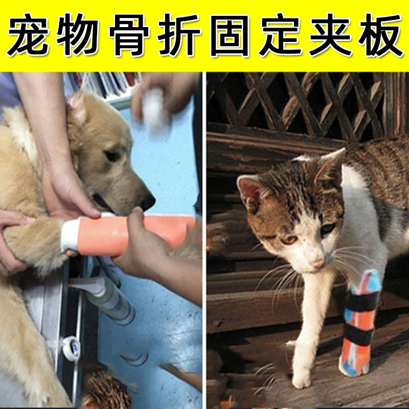卷式夹板骨折固定用急救教学培训户外高分子夹板宠物医院狗狗猫咪