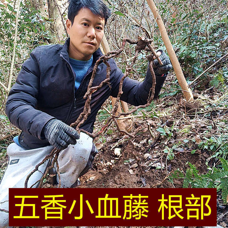 野生五香小血藤根手工切片大别山自然晒干店主自己采挖五味子老根