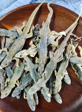 天龙守宫壁虎干中药材壁虎中药材精制中药壁虎粉药材保证