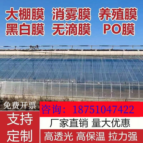 金马寿命长高透光大棚膜量大优惠