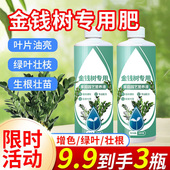 金钱树专用营养液肥料黄叶烂根促生长绿叶生根家用盆栽绿植叶面肥
