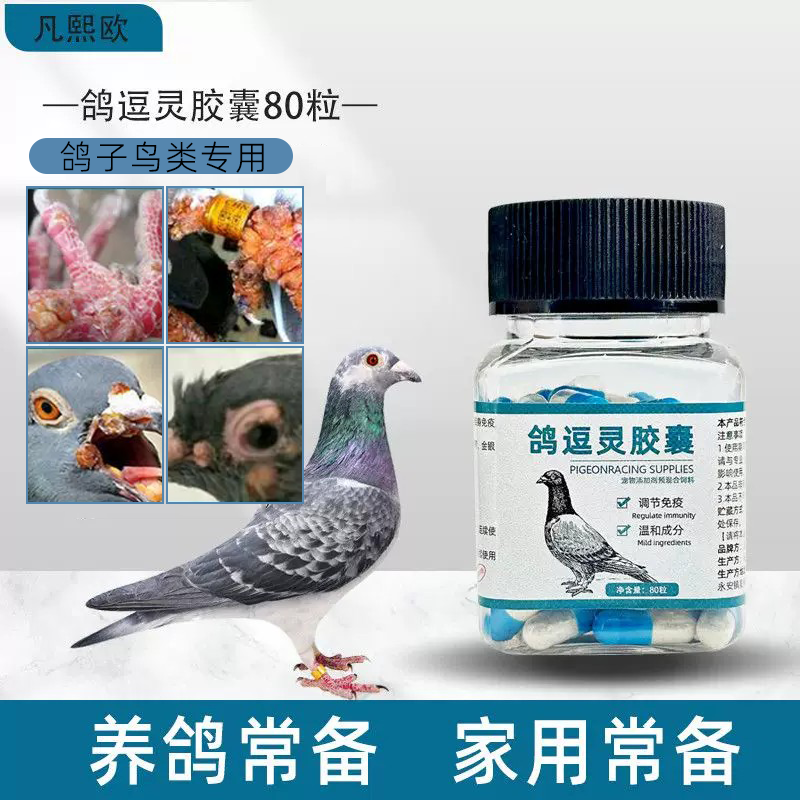 鸽子鹦鹉鸟专用内外用鸟豆清幼鸽信鸽痘灵鸽豆灵鸽子大全专用品