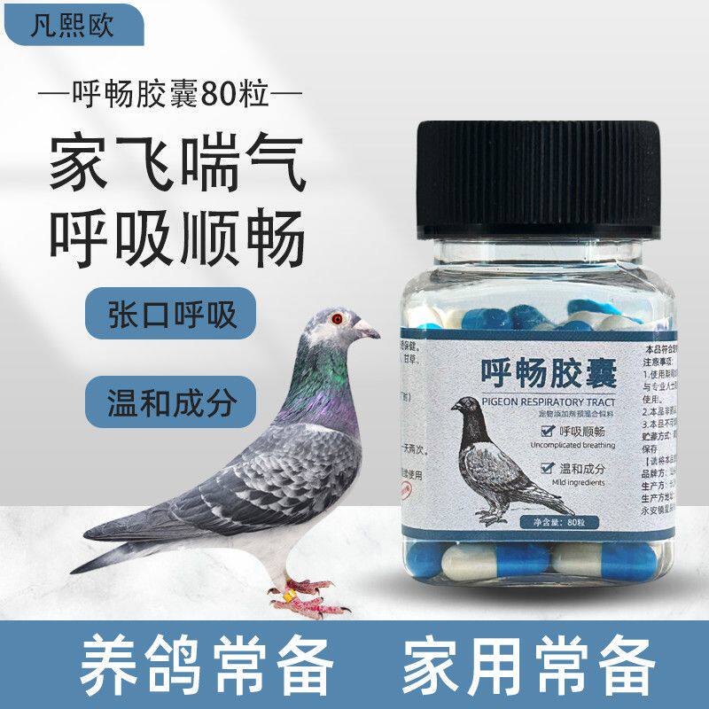 鸽子呼吸不顺畅专用信鸽赛鸽鸽子药家飞不长专用呼吸道非鸽药大全