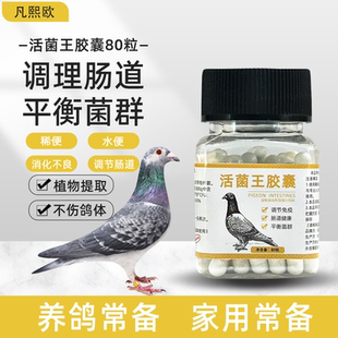 活菌粉胶囊肠胃调理恢复肠道水绿便鸽用活菌粉鸽子药大全常见病