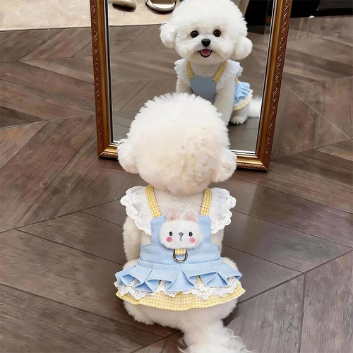 宠物衣服狗狗猫咪春夏新款透气中小型犬泰迪比熊博美透气可牵引衣