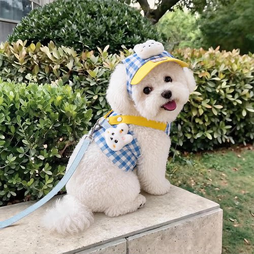 狗狗衣服可爱卖萌胸背带泰迪比熊中小型犬可牵引外出猫咪宠物衣服