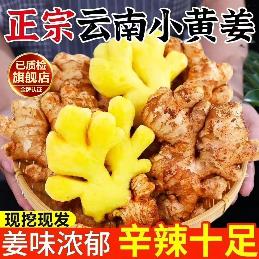正宗云南小黄姜旗舰店新鲜生姜食用月子姜姜香味浓蔬菜嫩姜辛辣