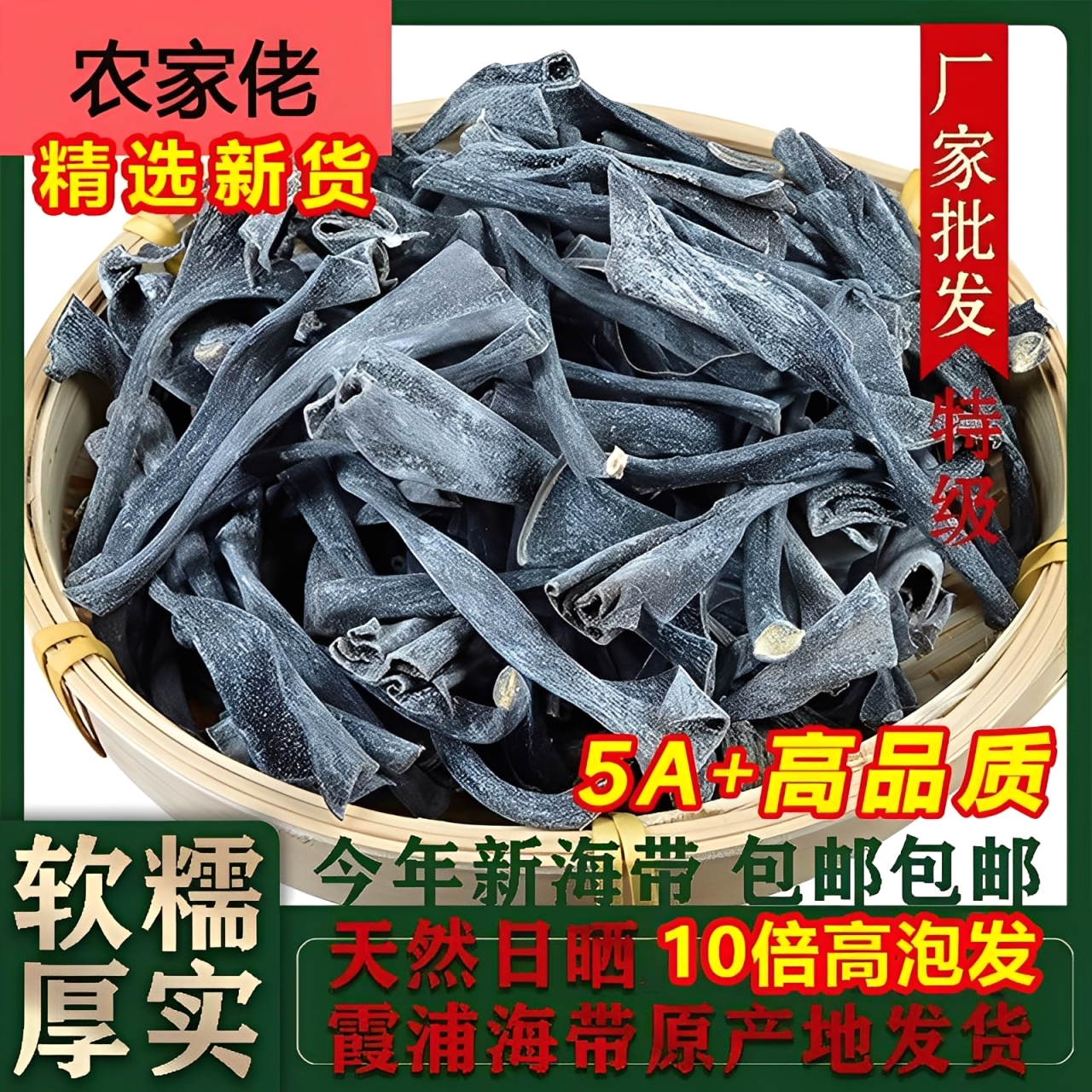 福建霞浦海带头特厚级干