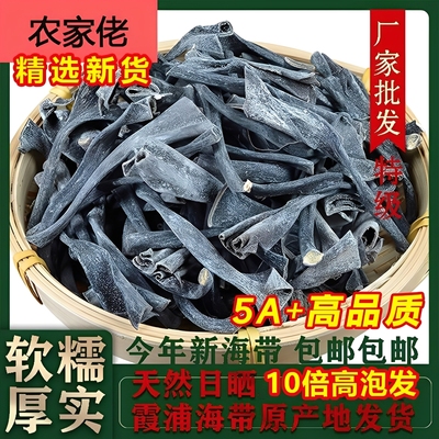 福建霞浦海带头特厚级干