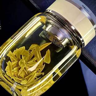 玻璃水杯女款高颜值便携胖耐高温户外新款女士茶高级专用杯子食品