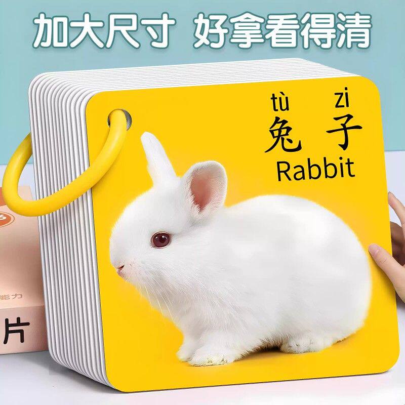 动物卡片早教认知启蒙书儿童识字宝宝看图识物图幼儿数字益智玩具
