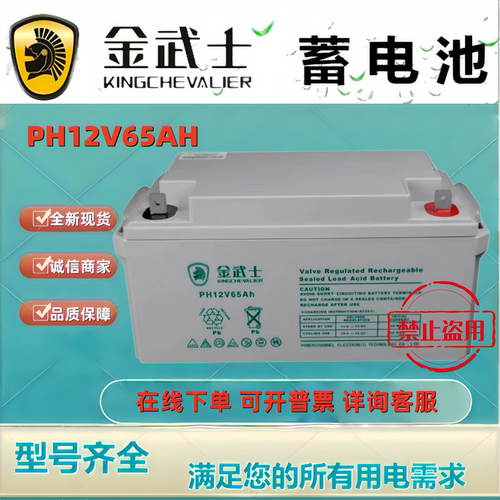 金武士蓄电池PH12V65AH 铅酸免维护机房应急UPS EPS机房后备电池