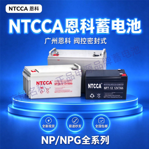 NTCCA恩科蓄电池NP17-12V20AH24AH38AH40AH65AH NPG100-12V100AH