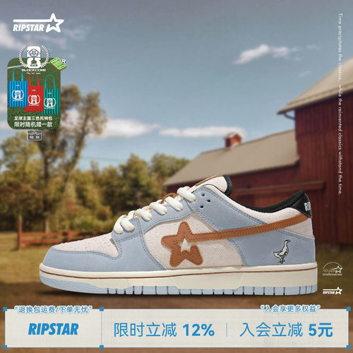 RIPSTAR蓝色休闲板鞋男女款