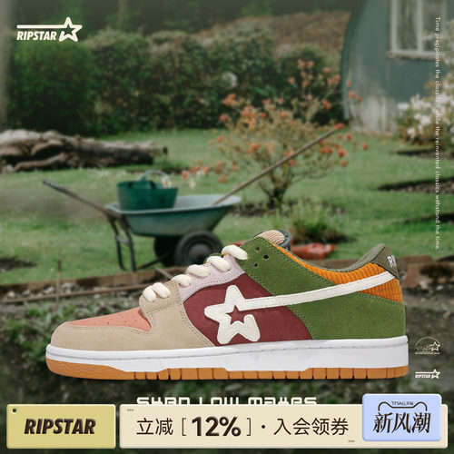 RIPSTAR/爆炸星休闲板鞋春秋季