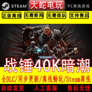 战锤40K：暗潮 steam账号在线游玩 中文PC版游戏 全DLC