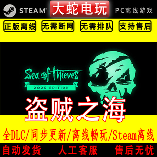 盗贼之海 steam正版账号在线游玩 中文PC版游戏