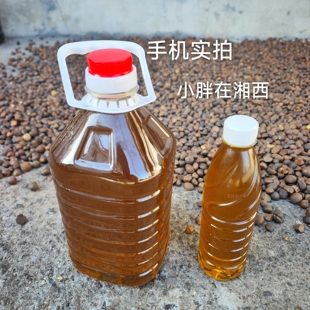 湖南湘西传统物理冷榨工艺 山茶籽油 野生老树