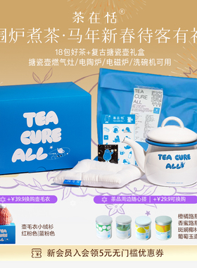 新品IP搪瓷壶600ml白色带茶漏礼盒可洗碗机电磁炉燃气灶电陶炉