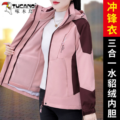 啄木鸟冲锋衣女款2025新款爆款防