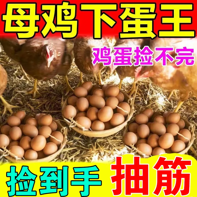 无效全额退增蛋专用增蛋宝