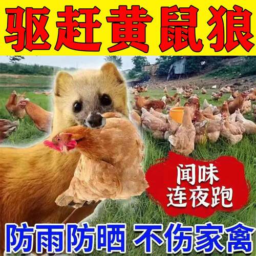 正品人畜无害防黄鼠狼驱赶黄鼠狼