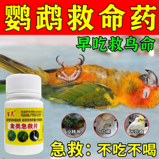 鹦鹉鸟专用药嗉囊炎玄凤虎皮牡丹感冒流鼻涕腹泻拉稀绿便 正品