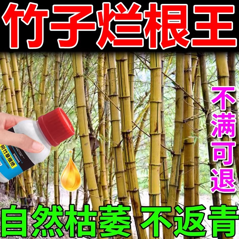 灭竹子的药竹根连根烂专用强力竹子烂根药灭竹根粉烂根剂除杂草