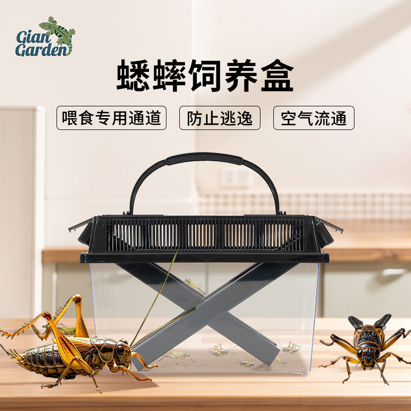 巨人爬宠GianGarden蟋蟀饲养箱专业养殖盒防逃逸蝈蝈饲养盒透气