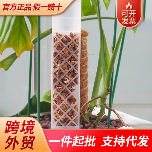 跨境亚马逊水苔柱龟背竹热植攀附