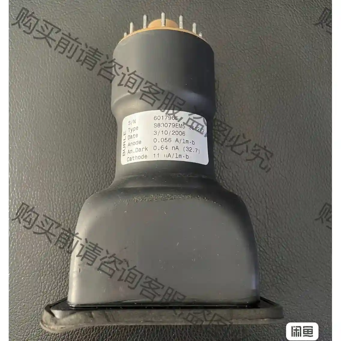BURLE S83079EM5 3E1212 光电倍增管 议 先议价 拆机货包好
