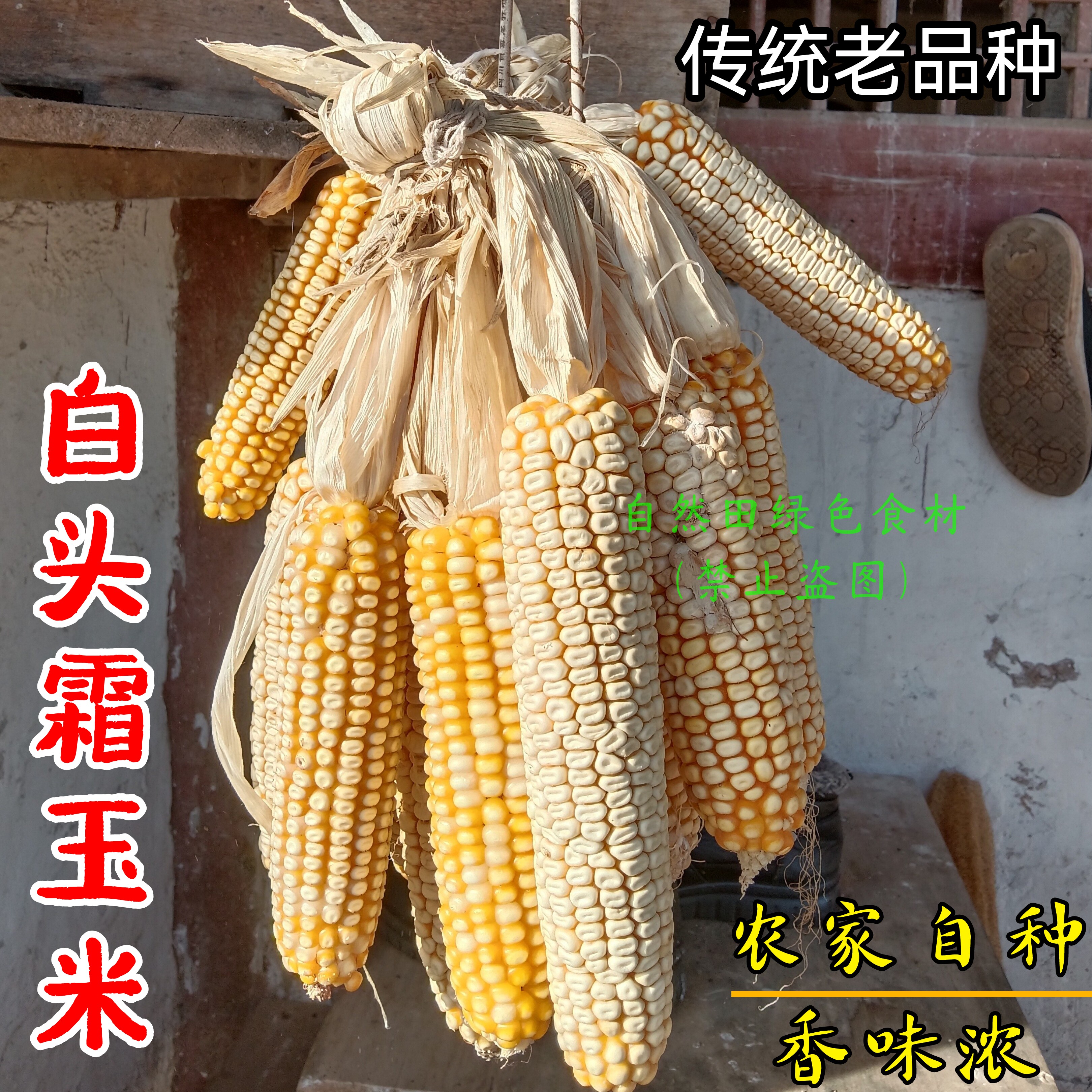 老品种白头霜玉米农家自种新鲜带棒子香味浓老式非转