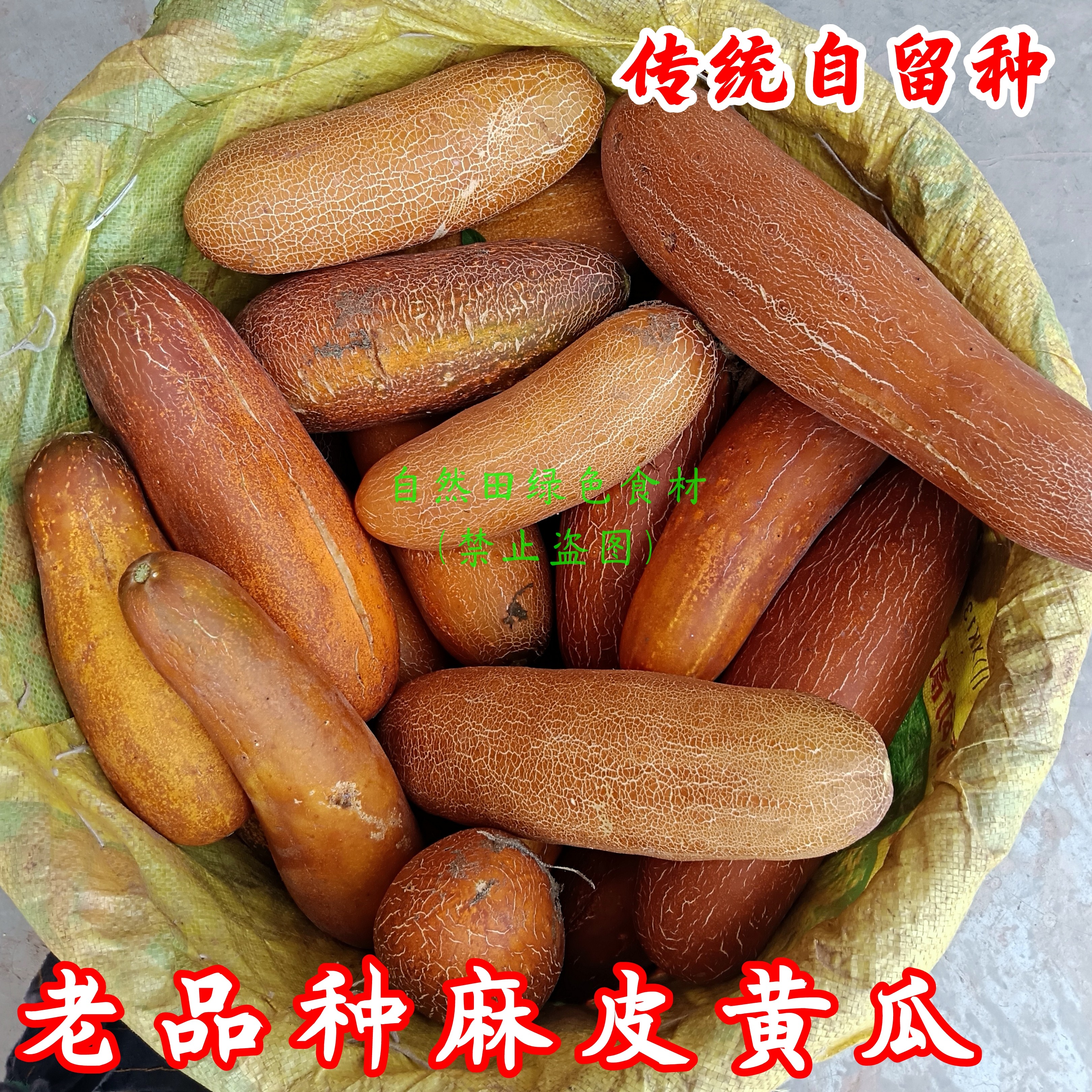 老品种麻皮黄瓜新鲜农家自留老品种传统土黄瓜打汤酸味浓老式非转