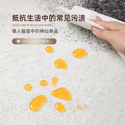 圆形地毯2025新款客厅轻奢高级感免洗可擦卧室床边毯梳妆台椅子垫