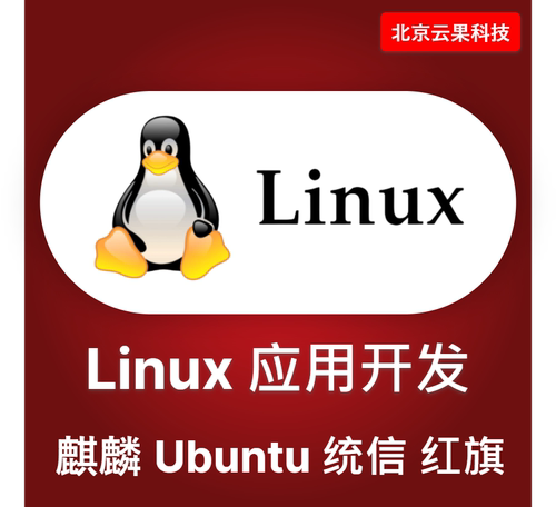 Linux 软件开发国产系统开发 银河麒麟 Ubuntu 统信 红旗软件开发
