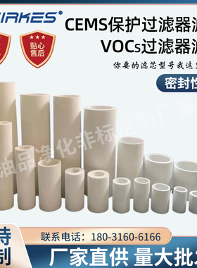 CEMS保护过滤器滤芯烟气烟尘排烟玻纤管烧结滤芯FP-2T滤芯SS-2T